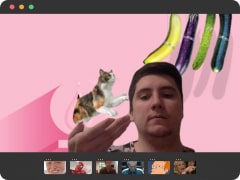 Team member ${index + 1}